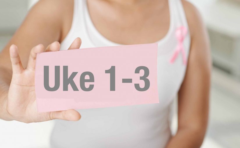Gravid uke 1, 2 og 3